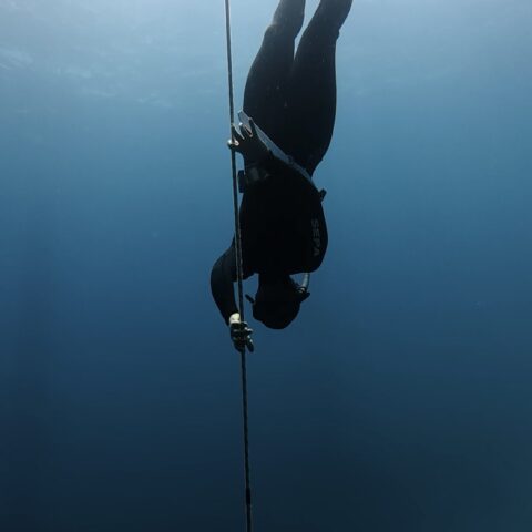קורס צלילה חופשית